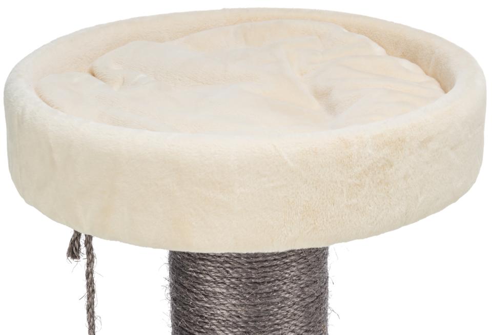 Trixie Marcello scratching tree