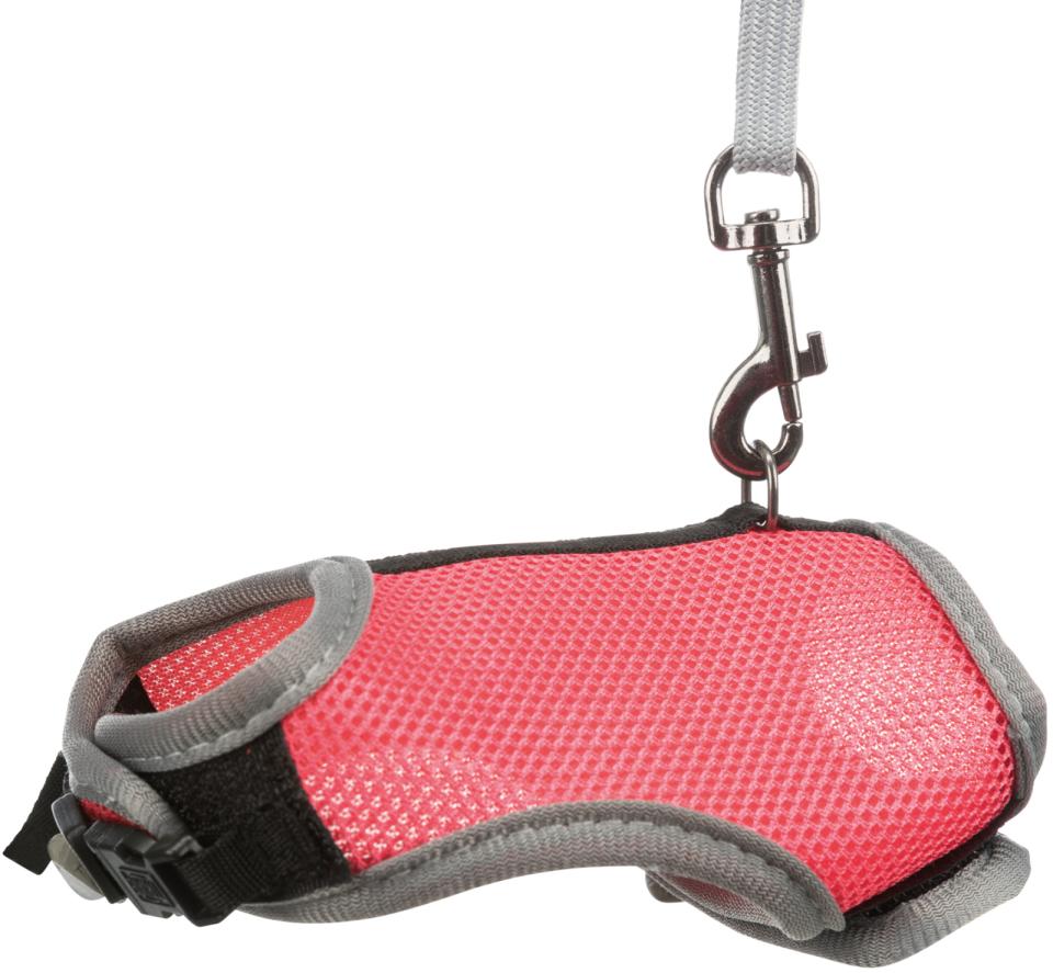 Soft Harness with Leash