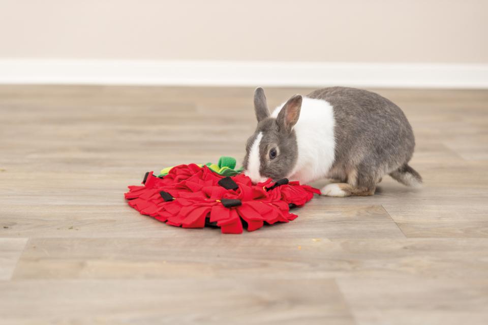 Trixie strawberry sniffing carpet for rodents