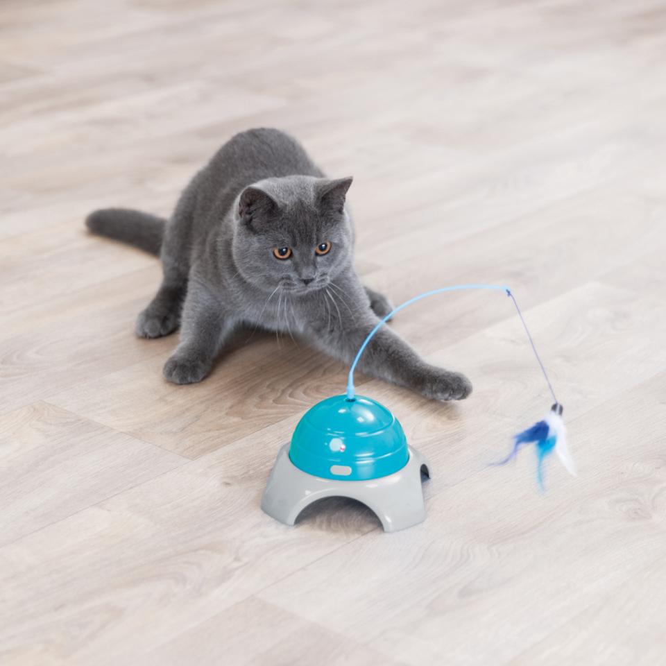 Catch Me mit Fernbedienung, Kunststoff