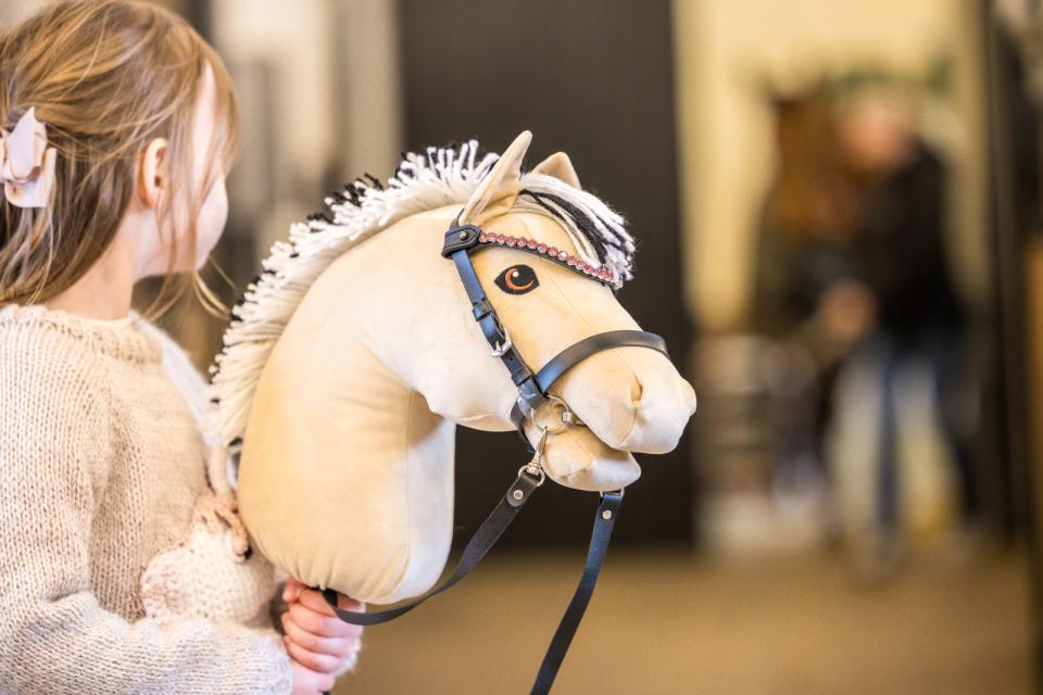 My Hobby Horse Browband, black with pink stones