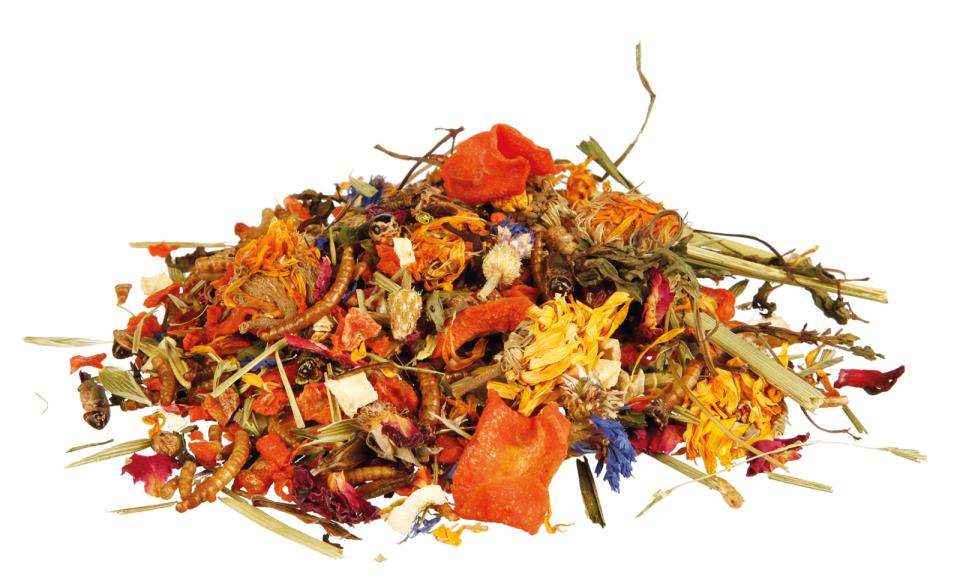 Natural Food Mixture for Bearded Dragons