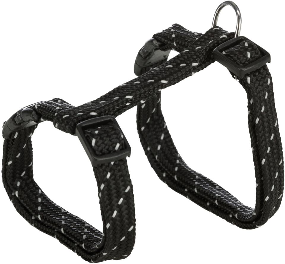Harness with Leash, Reflecting