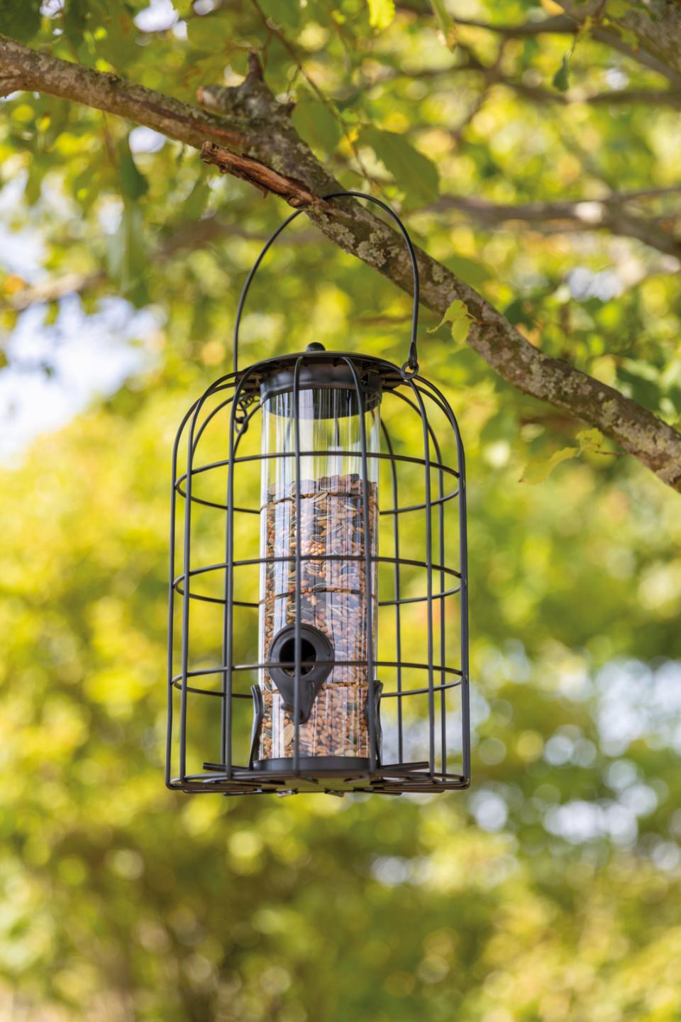 Food Dispenser with protective grid