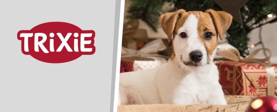 Trixie Magnetic fascia Xmas