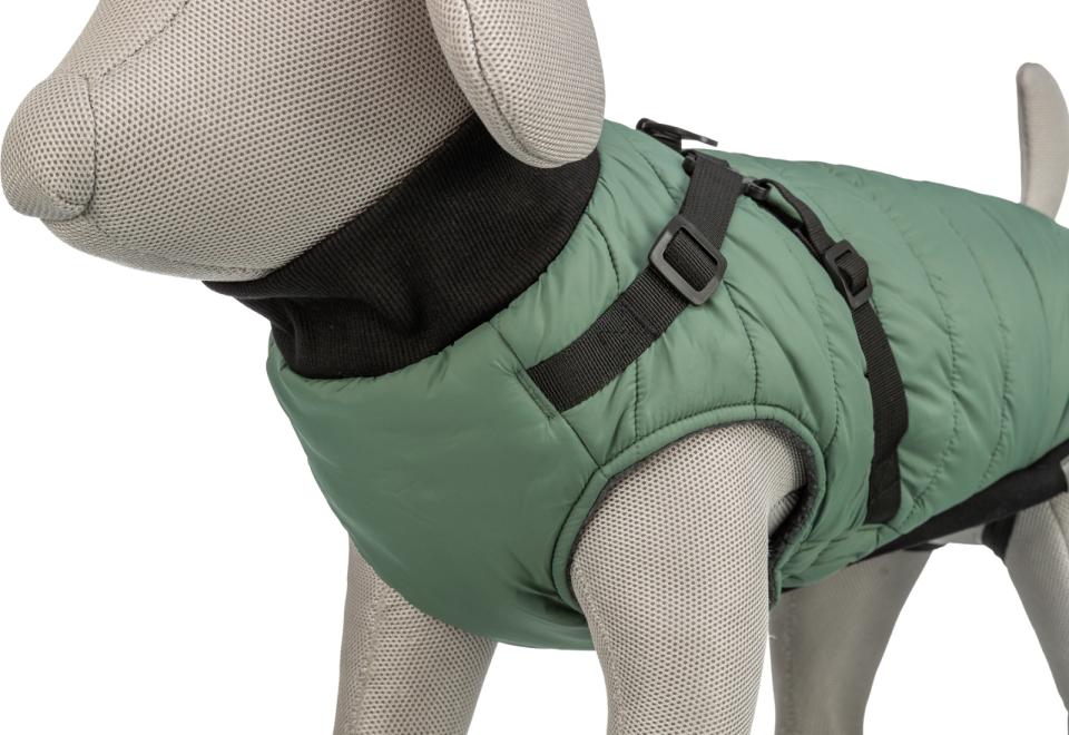 Trixie Pontis dog blanket with harness