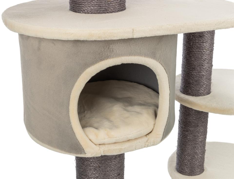 Trixie Marcello scratching tree