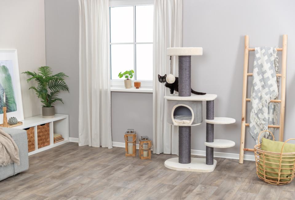 Trixie Marcello scratching tree