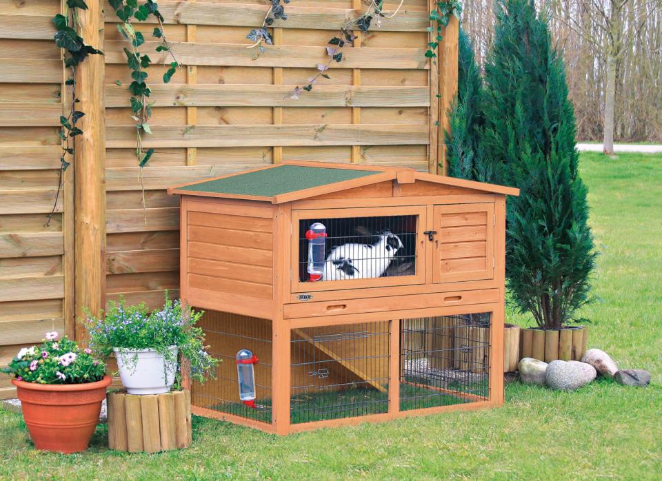Small Animal Hutch with Enclosure