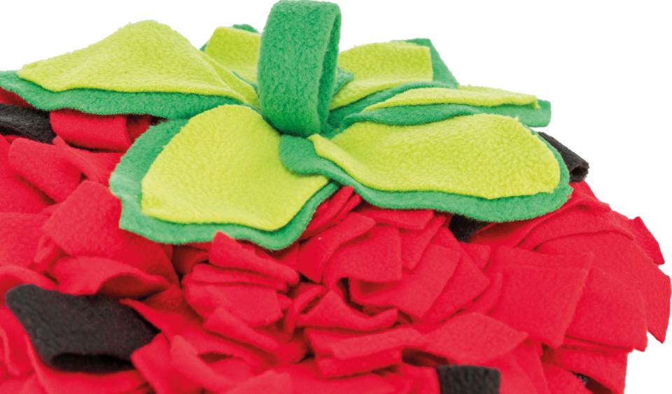 Trixie strawberry sniffing carpet for rodents