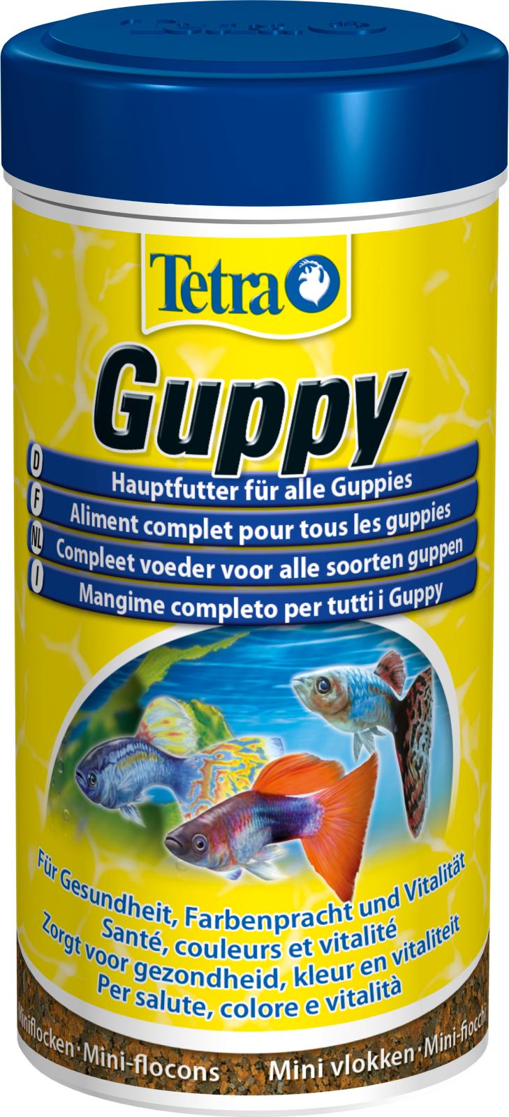 Tetraguppy basfoder