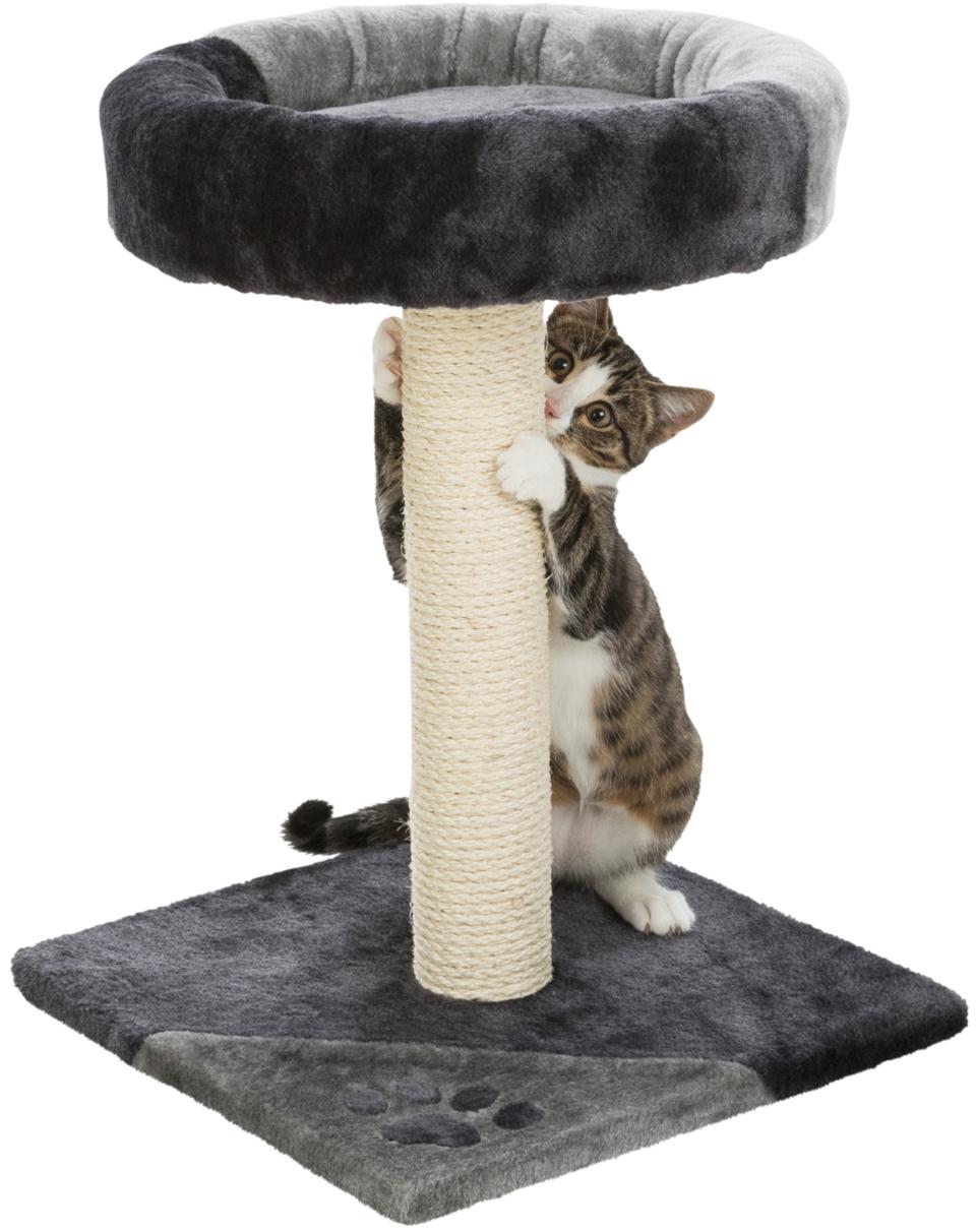 Junior Tarifa Scratching Post