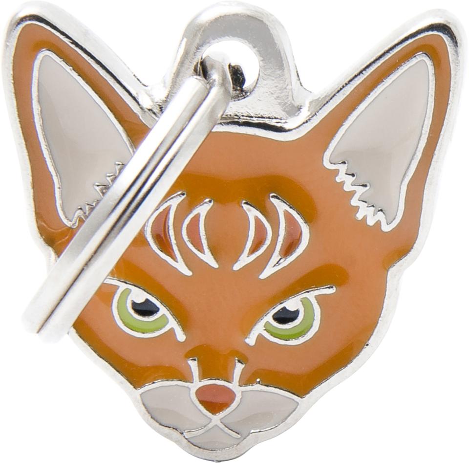 MyFamily Friends, Abyssinier