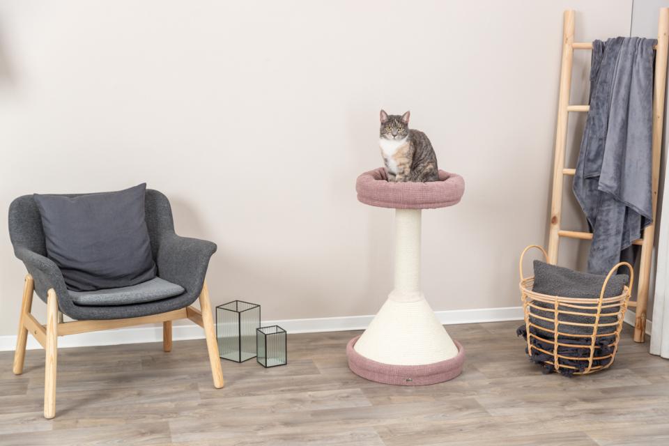 Trixie Viviana scratching tree, round