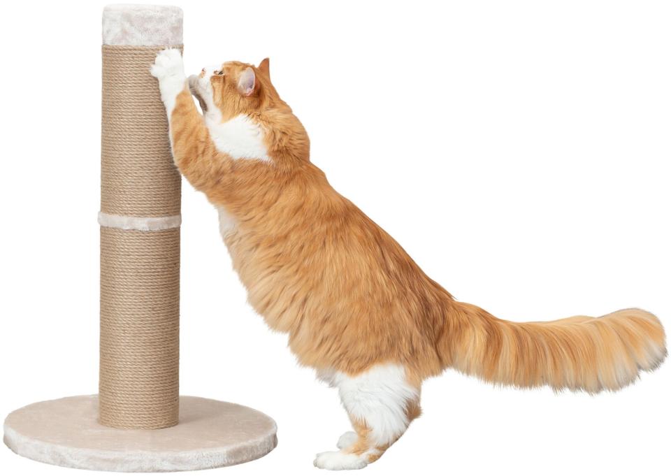 Trixie Rue kradsetræ XXL