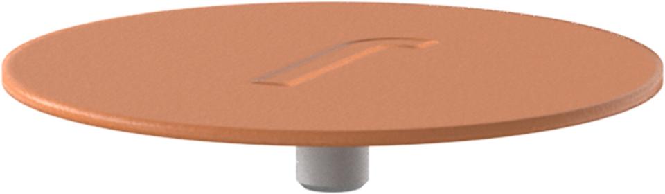 Fantail Cap - Cover plate