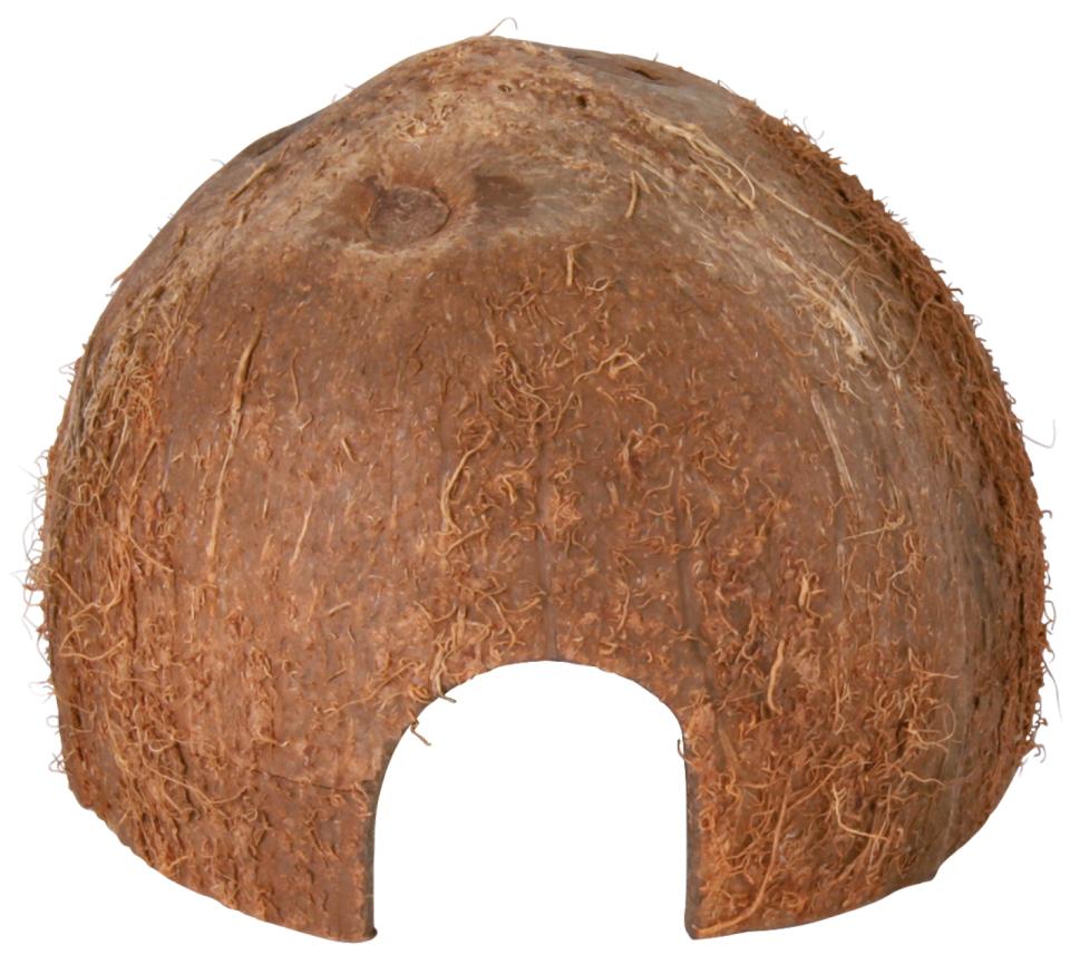 Coconut Hideaway Home