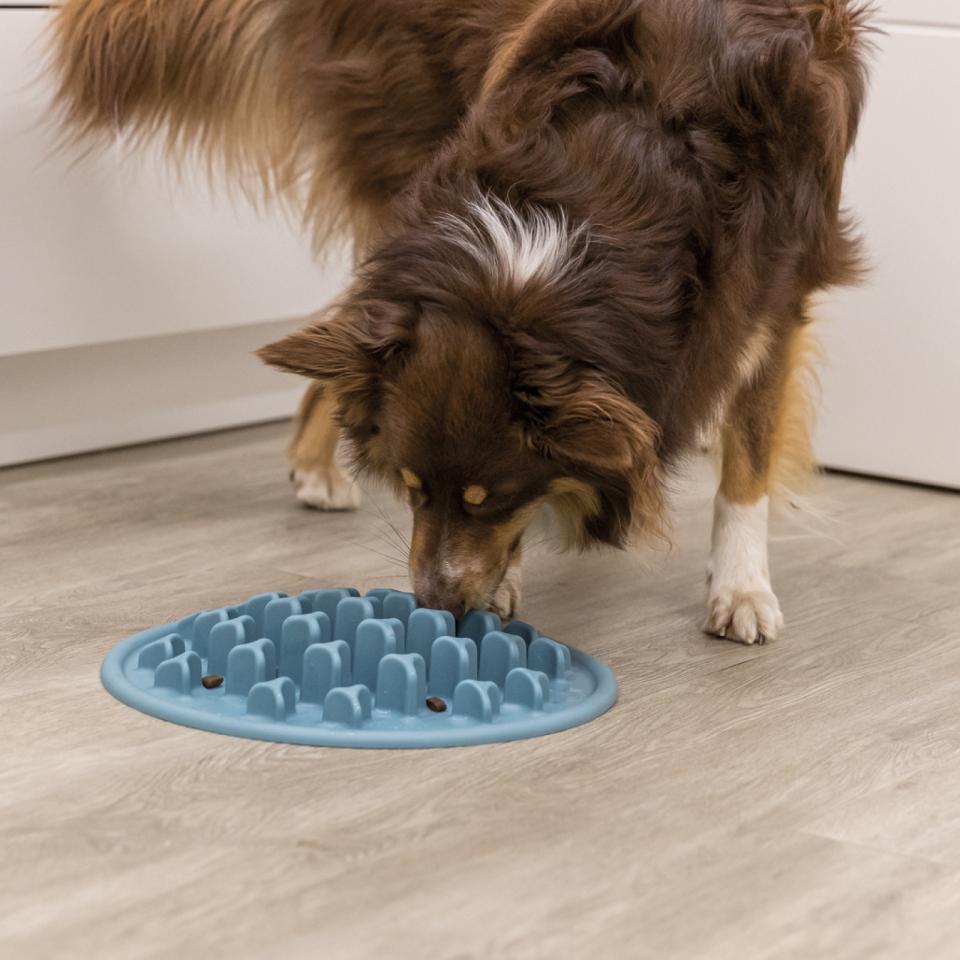 Pillars Slow Feeding mat, TPE