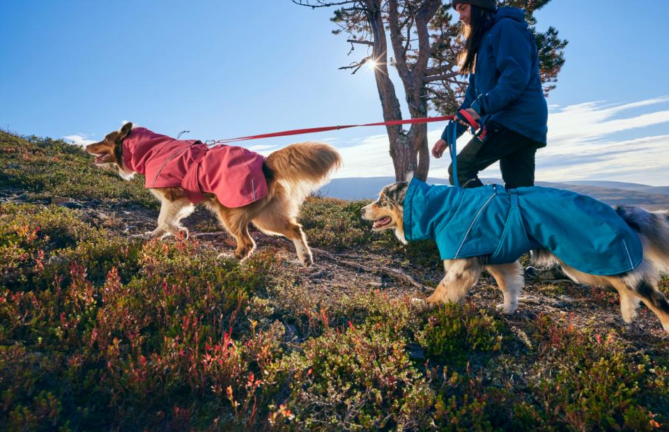 Hurtta Expedition Parka II dog rug