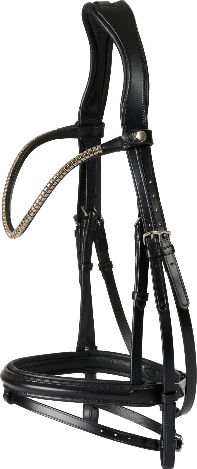 CATAGO Brooklyn bridle with flash noseband