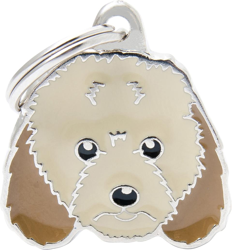 MyFamily Friends, Cockapoo