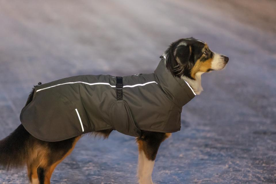 Trixie Limoux Hundejacke