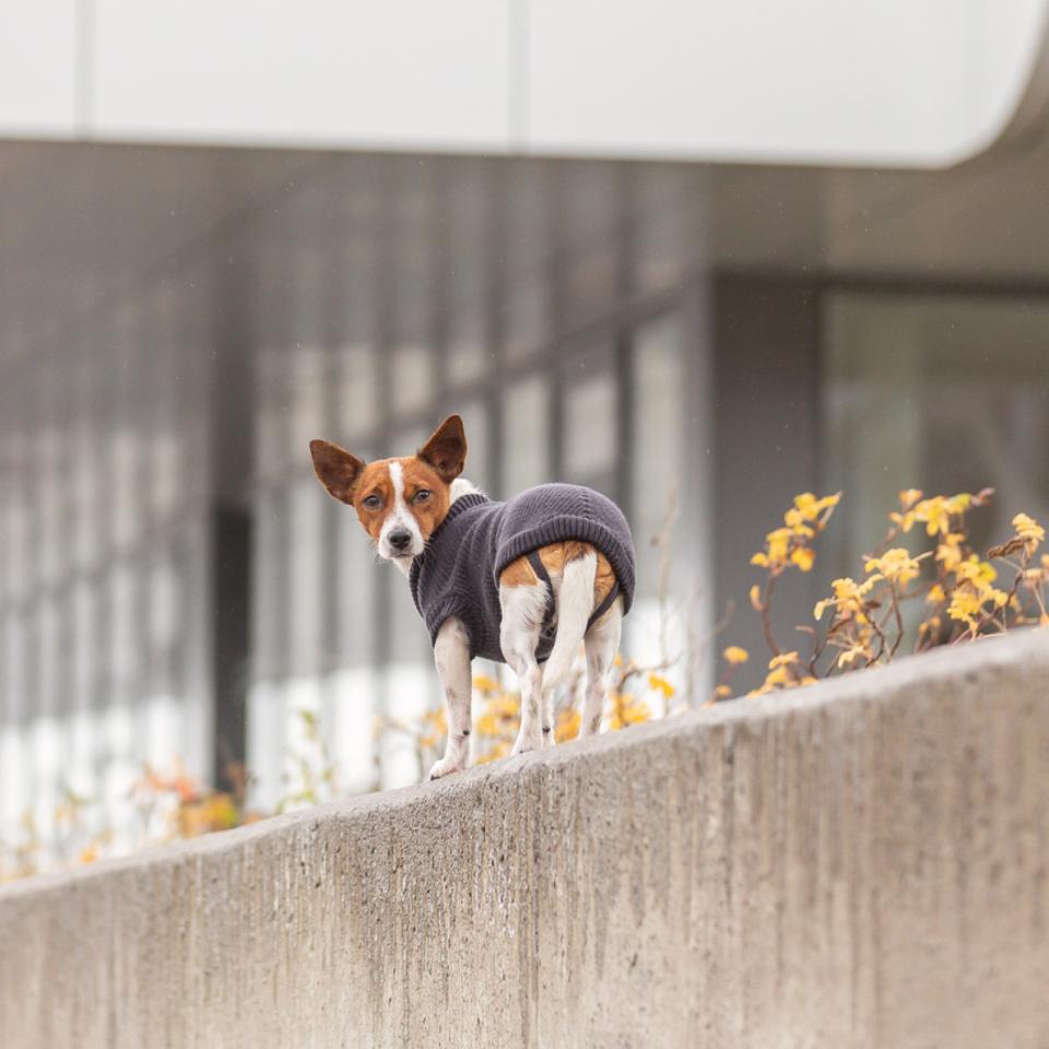 CityStyle Berlin pullover