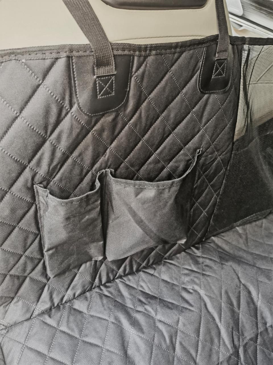 Companion Auto Schondecke