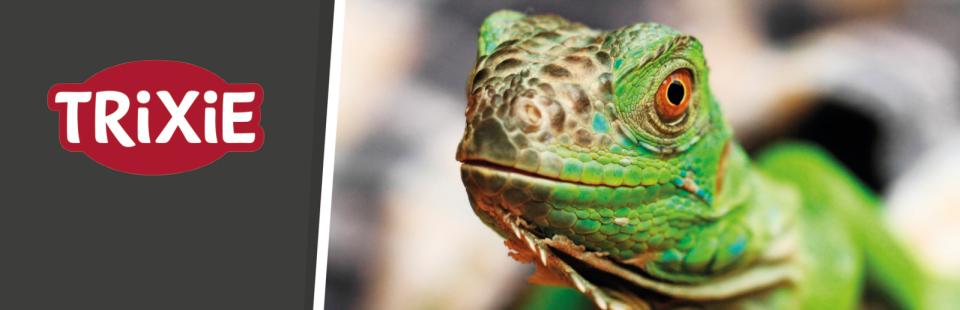 Magnet skilt t. Tego reol Reptiland