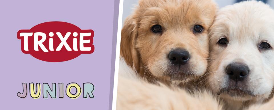 Magnet skilt t. Tego reol hvalp