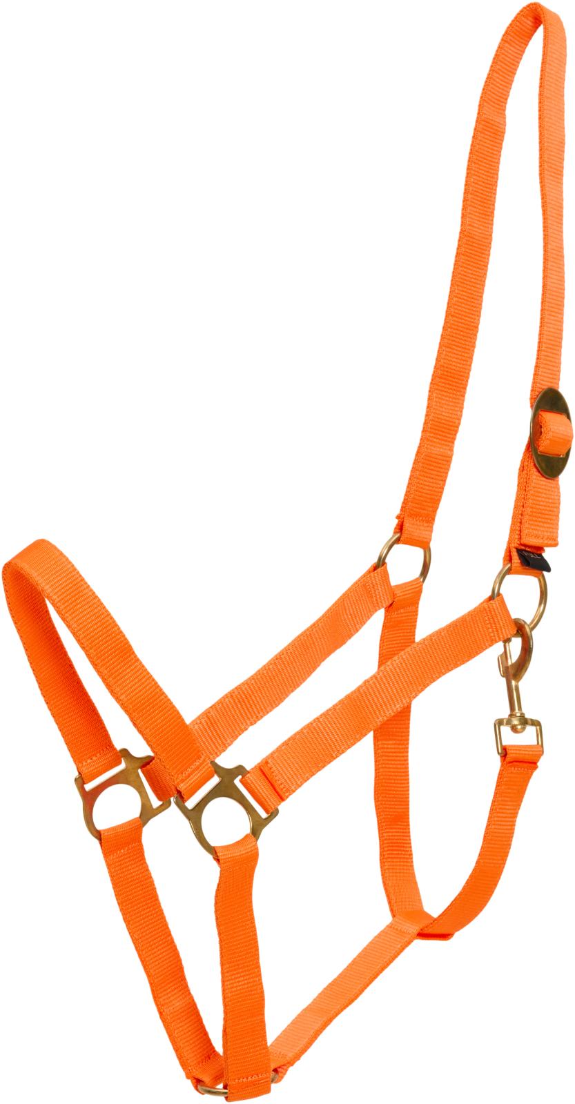 HorseGuard Nylon halter