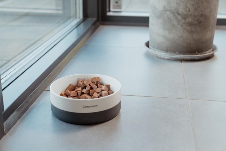 Companion+ FEAST foderpølse til hunde, Lam