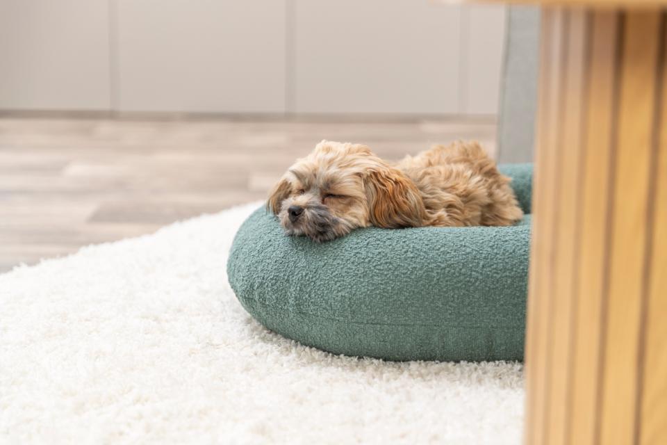 Trixie CityStyle Vital hundeseng