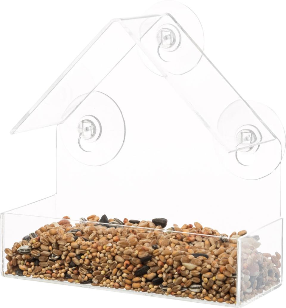Bird Feeder for Window Pane