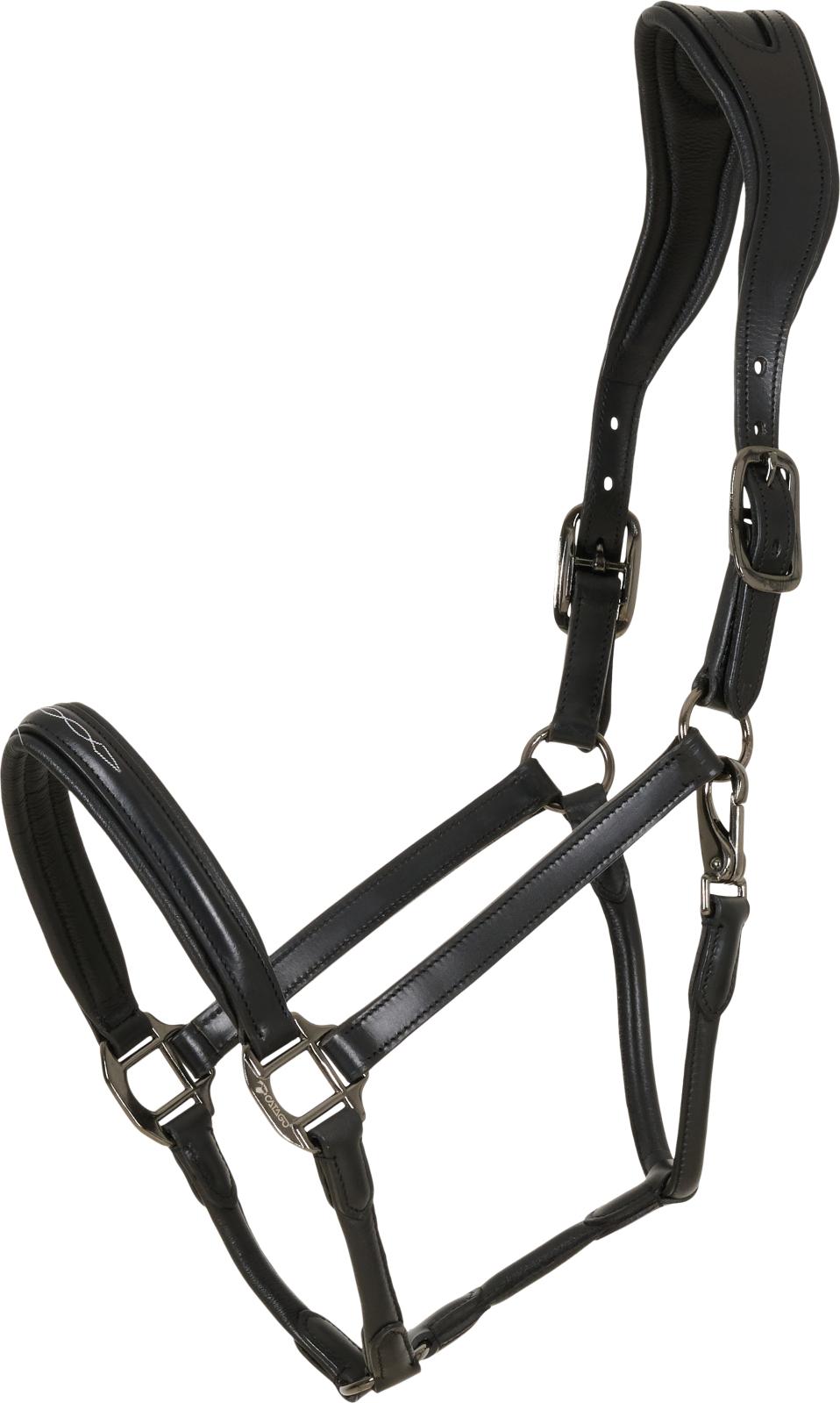 CATAGO Novi 25.2 leather halter