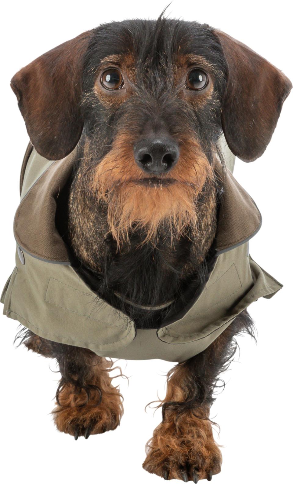 Trixie Hermy hundjacka - för smala, långa hundar