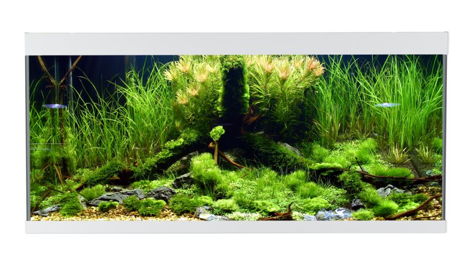 AkvaStabil ELEMENT Aquarium