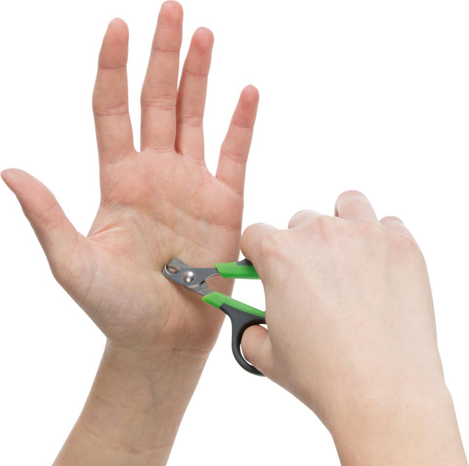 Claw Scissors