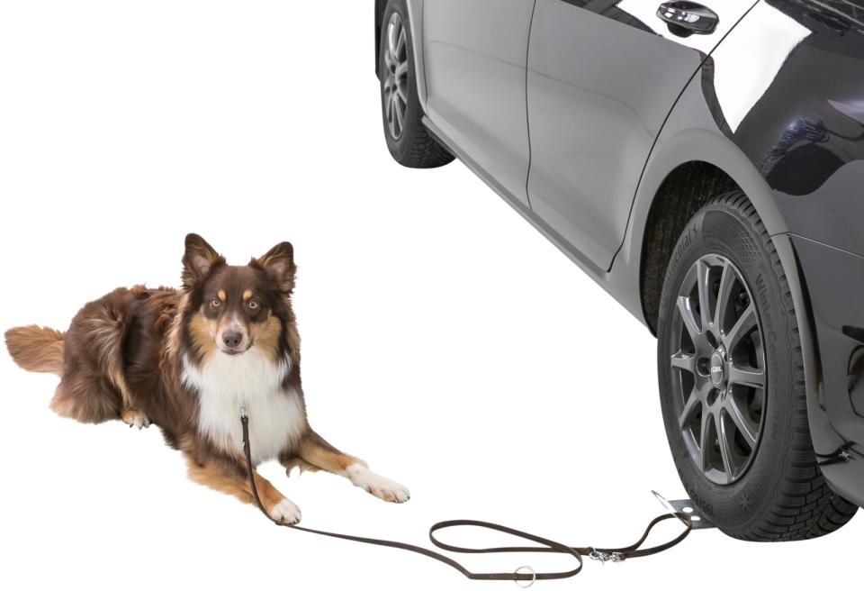 Drive-on plate for dog leash