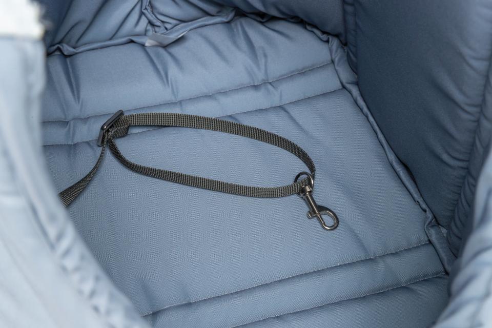 Trixie Carrier Viktoria