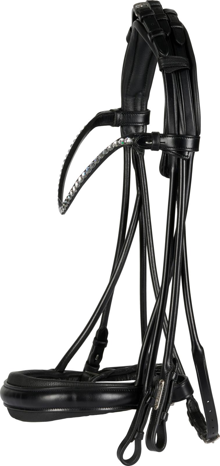 CATAGO Santo rolled double bridle