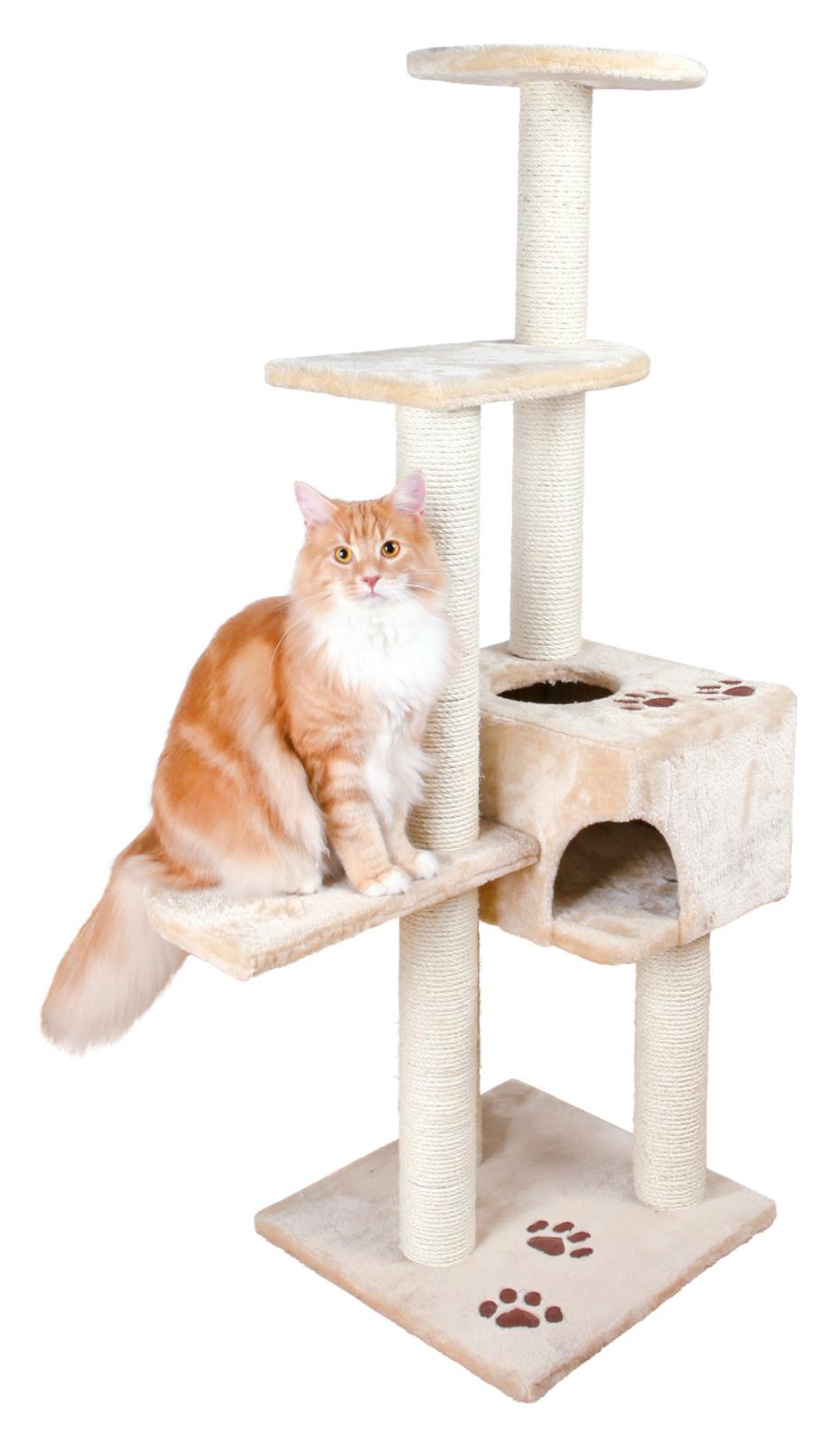 Jolly Paw Josina kradsetræ