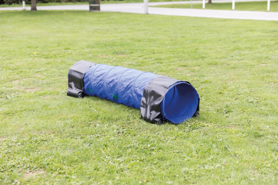 Fun Agility Mini Tunnel