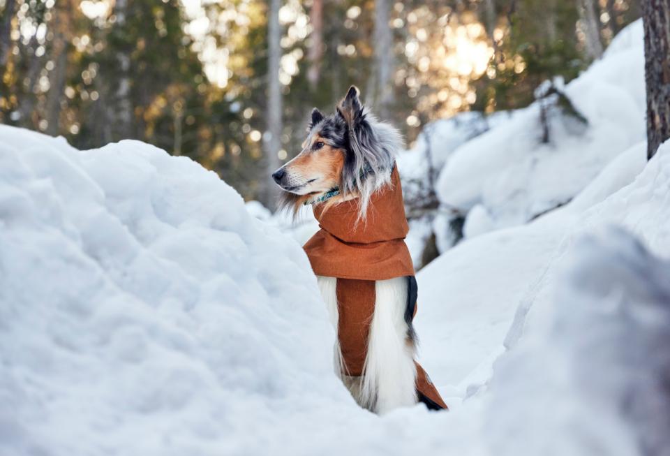 Hurtta Monsoon II ECO hundjacka