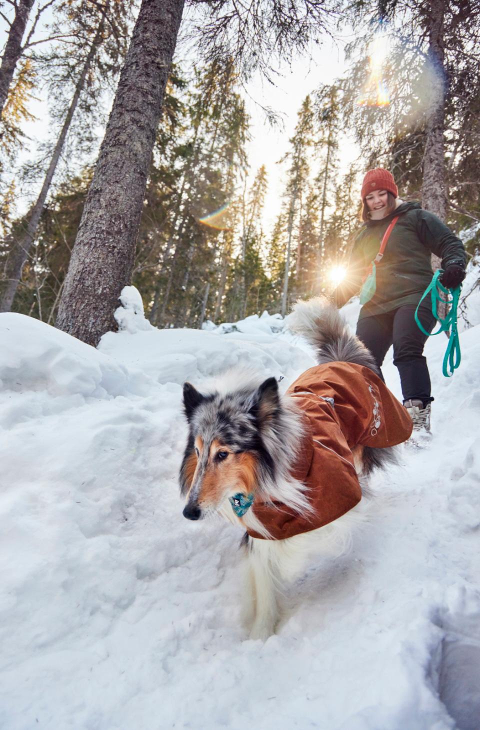 Hurtta Monsoon II ECO hundjacka