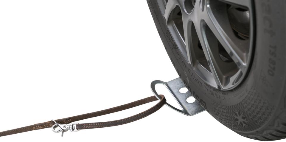 Drive-on plate for dog leash