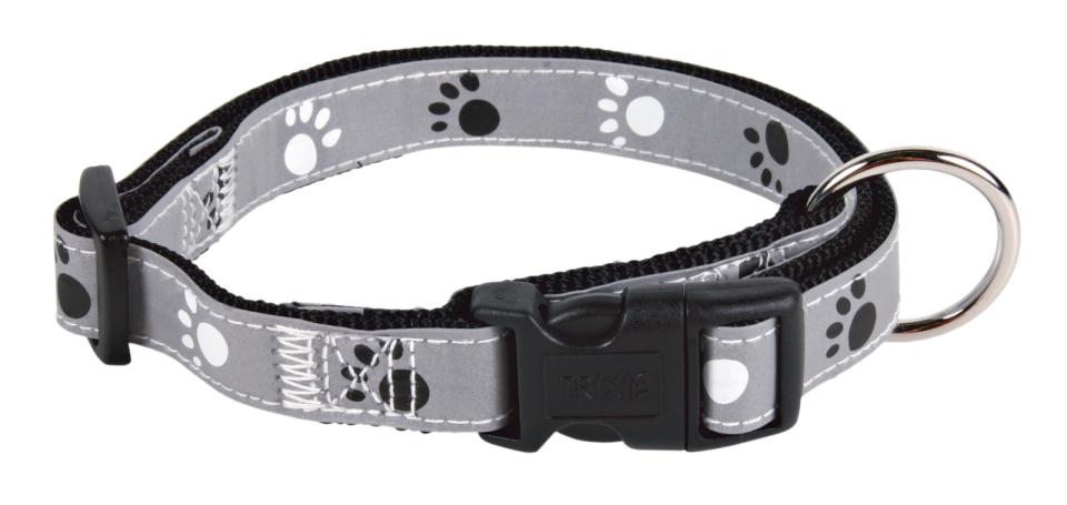 Silver Reflect collar