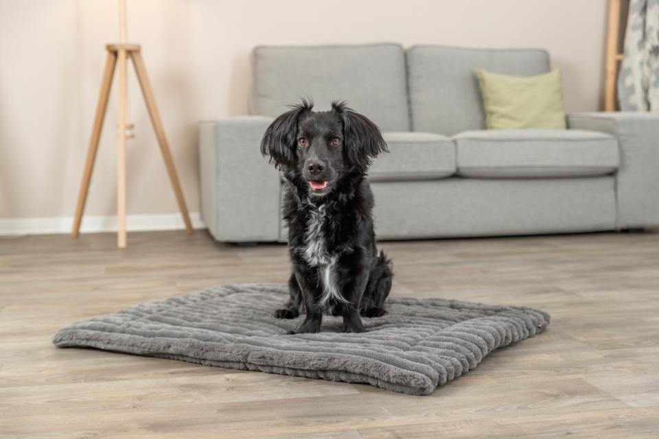 Trixie Lonni liggeunderlag, fløjlsplys