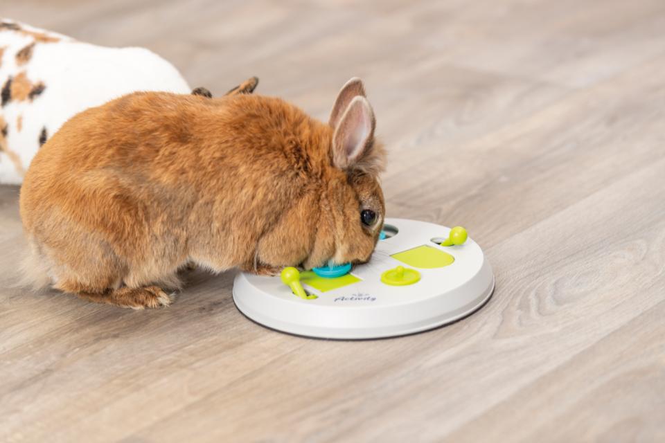 Flip Board Strategy Game