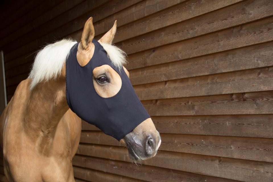 CATAGO FIR-Tech mask